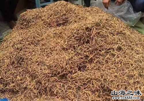 山海之味特产网,世界特产,中国特产,冬虫夏草