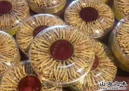 山海之味特产网,世界特产,中国特产,冬虫夏草