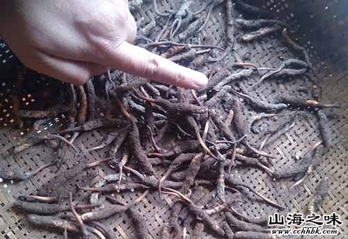 山海之味特产网,世界特产,中国特产,冬虫夏草