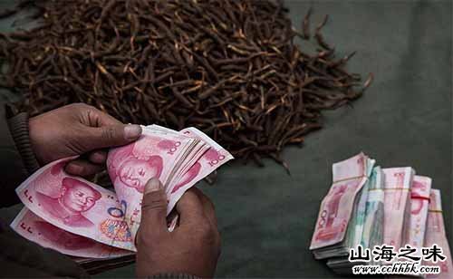 山海之味特产网,世界特产,中国特产,冬虫夏草
