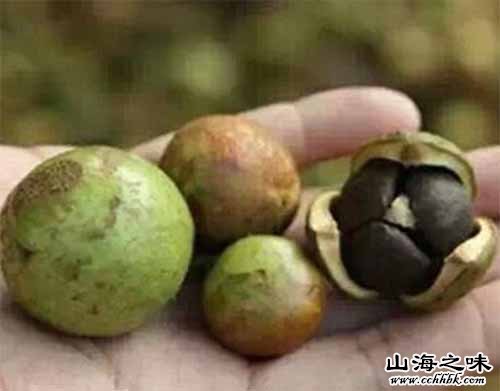 进贤山茶籽油－江西南昌