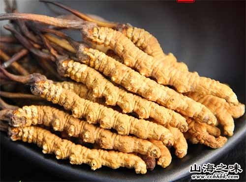 玉树冬虫夏草-青海省玉树藏族自治州