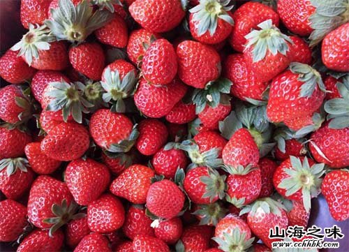 仁和中坝草莓－四川省攀枝花市