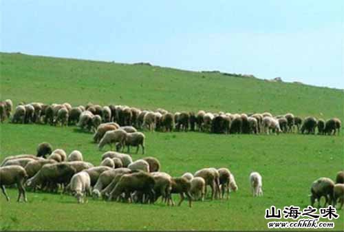天然山坡羊