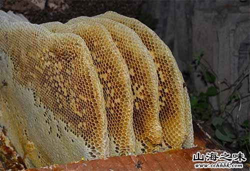 秦岭土蜂蜜