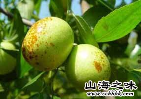 炕烘翠枣