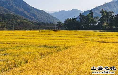 桦川大米