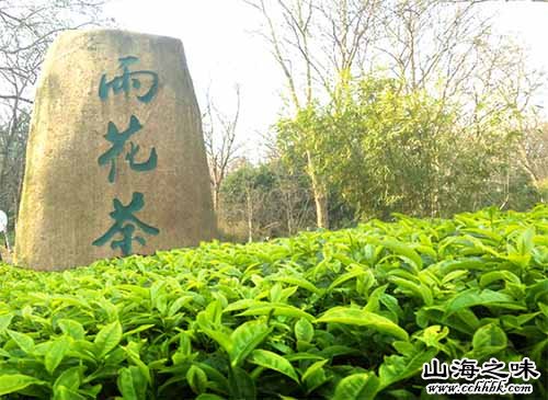 雨花茶