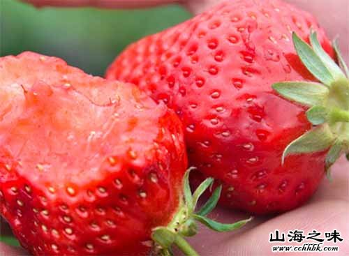 西固草莓－甘肃兰州