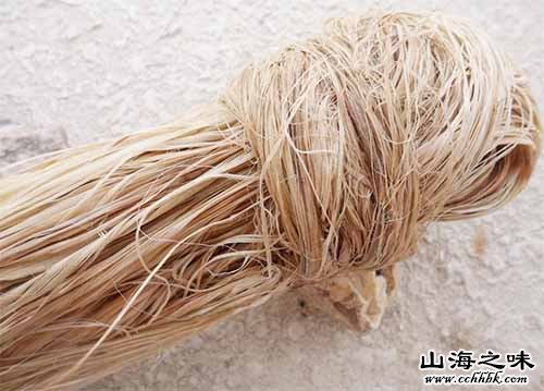 阳新苎麻－湖北黄石