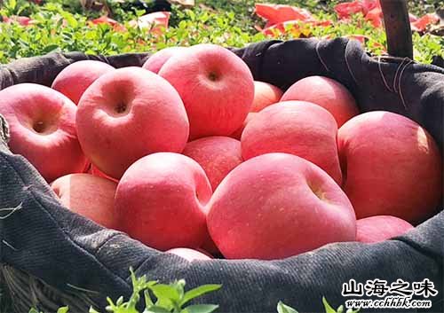 彬州红富士－陕西咸阳