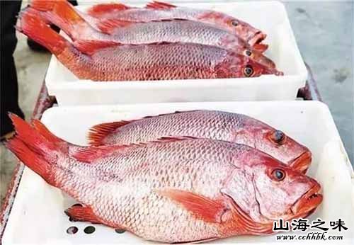 新英红鱼粽－海南儋州