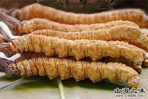 杂多玉树虫草－青海省玉树藏族自治州