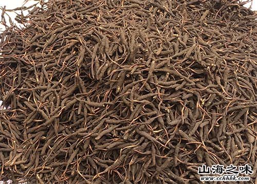 杂多玉树虫草－青海省玉树藏族自治州